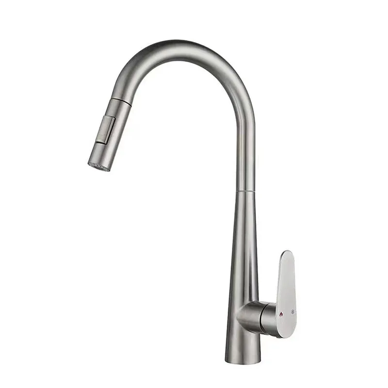 Modern Stainless Steel Kitchen Faucet Single Pull Double Outlet Hot/Cold Double Control Single Handle Single Hole Installation