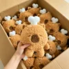 17 peluche (contattaci per il catalogo con oltre 6000 modelli)