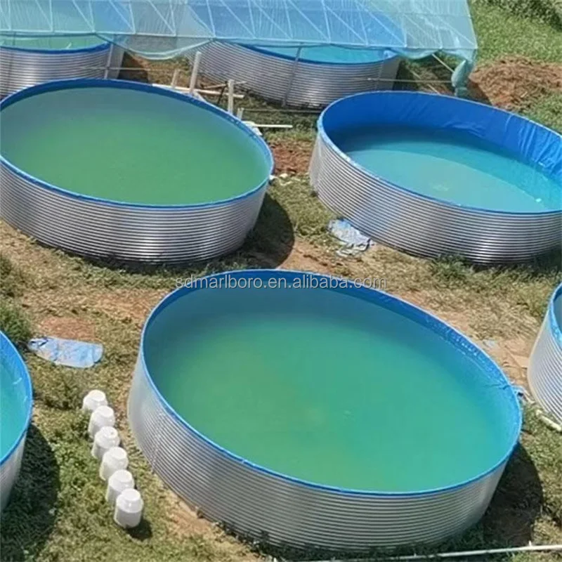 SDM High Density Recirculating Aquaculture System Fish Tanks Large Fish Farming Ponds PVC Fish Farm Tanks