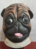 Maschera pechinese