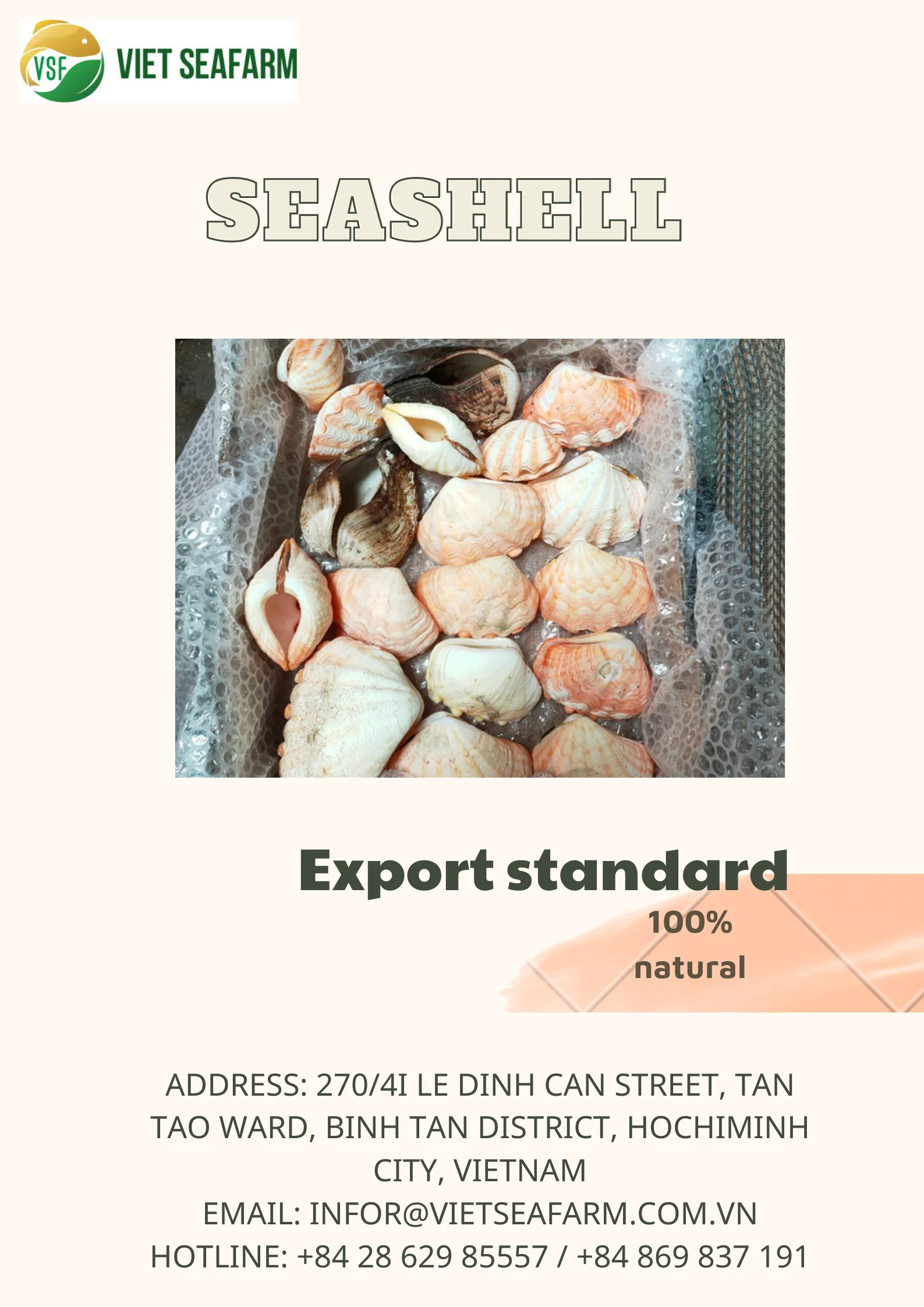 Seashell For Handicraft Cleaned Seashell For Handicraft High