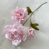 peonía kaochino