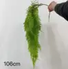 Green Plant Vine 5