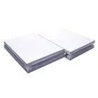 Injected Pu Sandwich Panel For Cleanroom