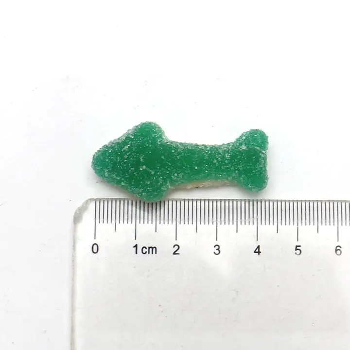 dolphin candy