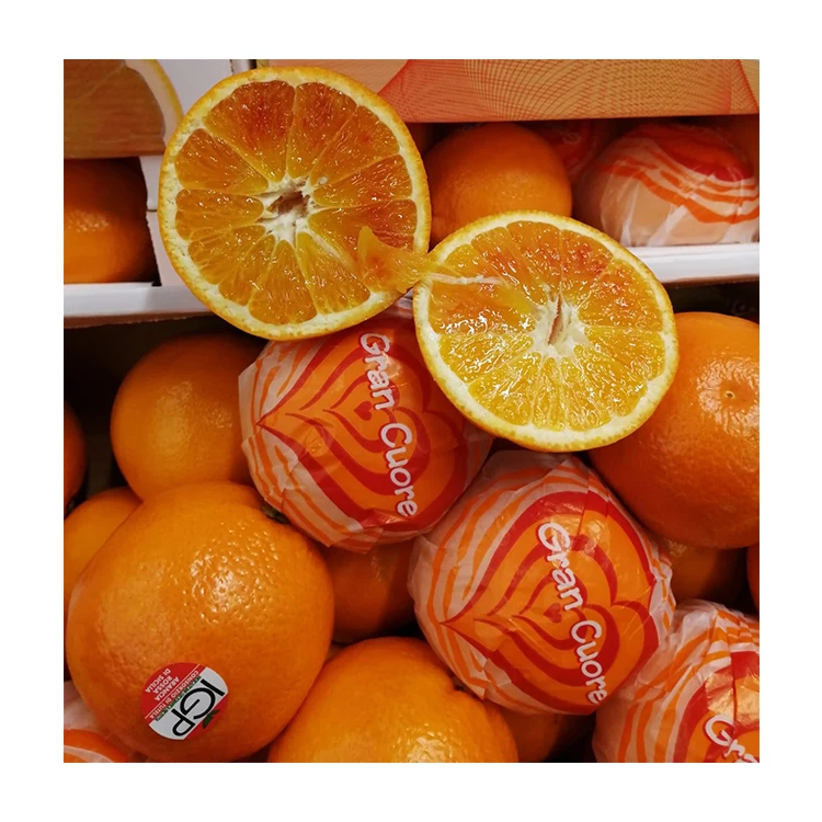 Wholesale Italy Tarocco Sicily Oranges Fresh Orange Fresh Fruit