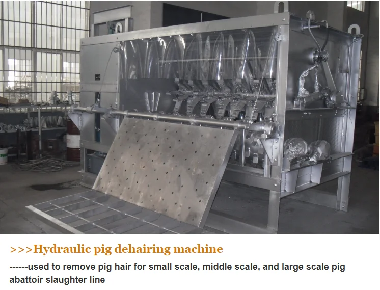 Complete Pig Slaughter Line Solution | Customized Turnkey Packages