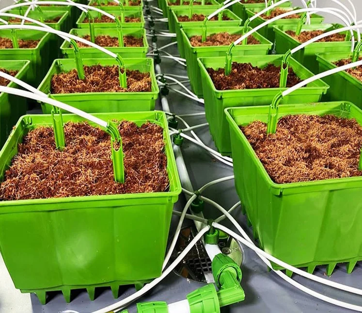 Гидропонные зеленые пластиковые горшки для выращивания растений, горшки для выращивания кастрюль из кастрюли, горшки для выращивания растений в теплицах/комнатах для выращивания