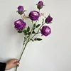 สีม่วง