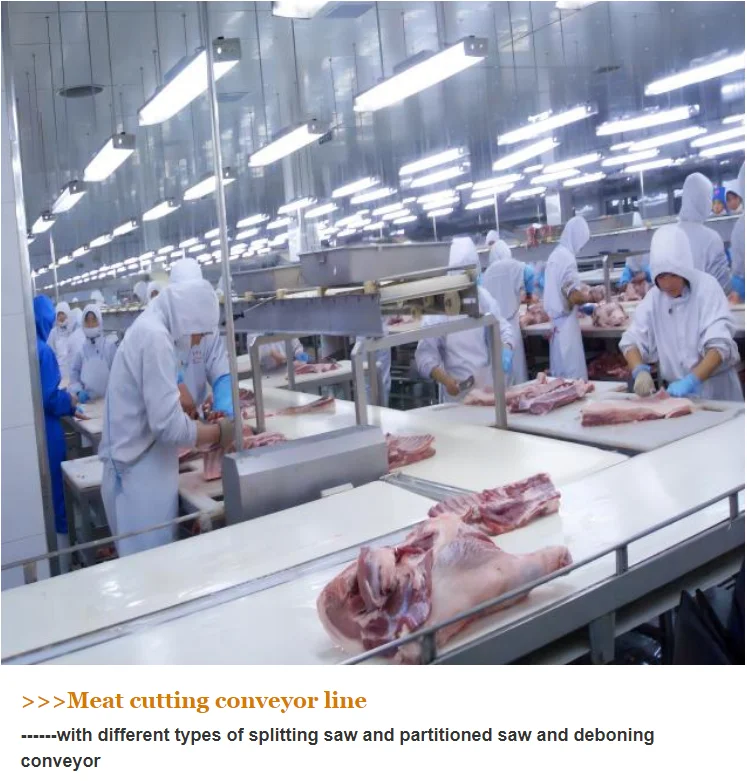 Complete Pig Slaughter Line Solution | Customized Turnkey Packages