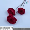 Takagi Austin XRX Rojo