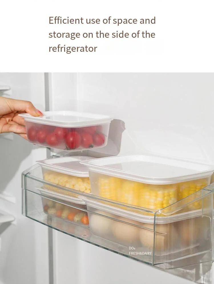 Fresh-keeping box set Refrigerator with lid food-grade plastic lunchmulti-grain type onion box factory