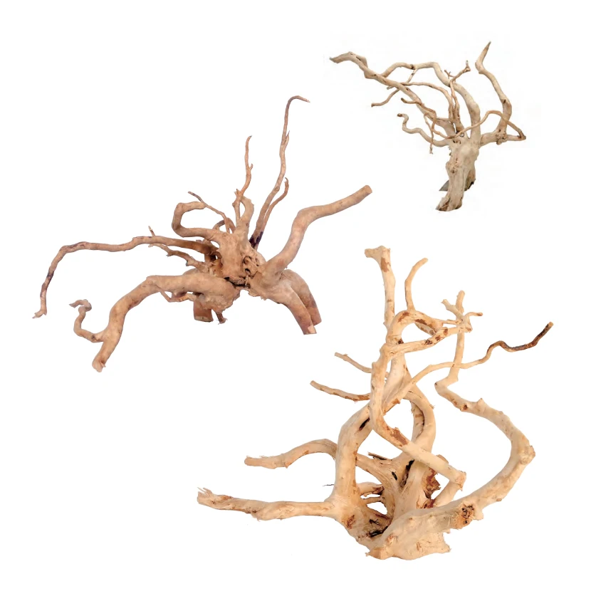 Chinese Azalea Root Spider Wood Driftwood - Arizona Aquatic Gardens