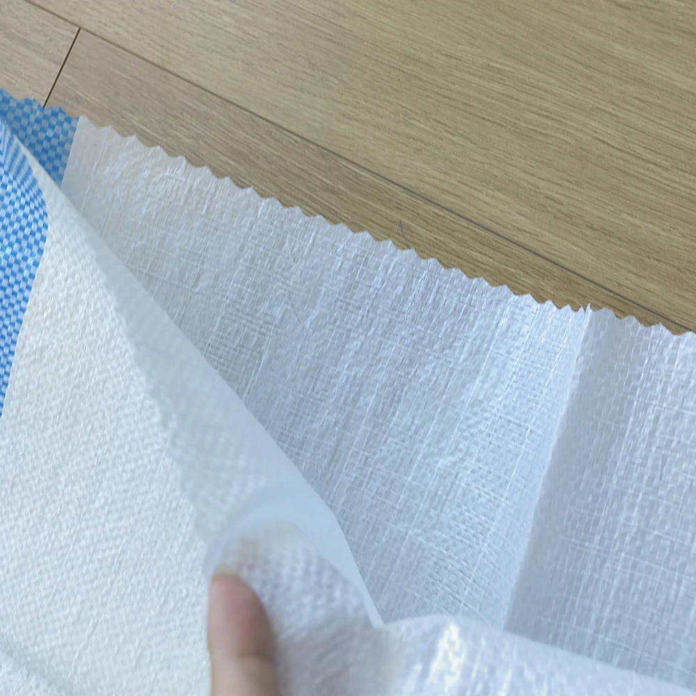 Custom Printed Plain pp Polypropylene Woven Packing Bag 50kg 100 kg 10kg Sack for Rice Corn Maize Grain Flour Animal Feed