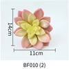 BF010-(2)