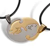 Golden and white cat round pair with black lines