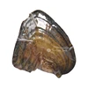 Default freshwater oyster