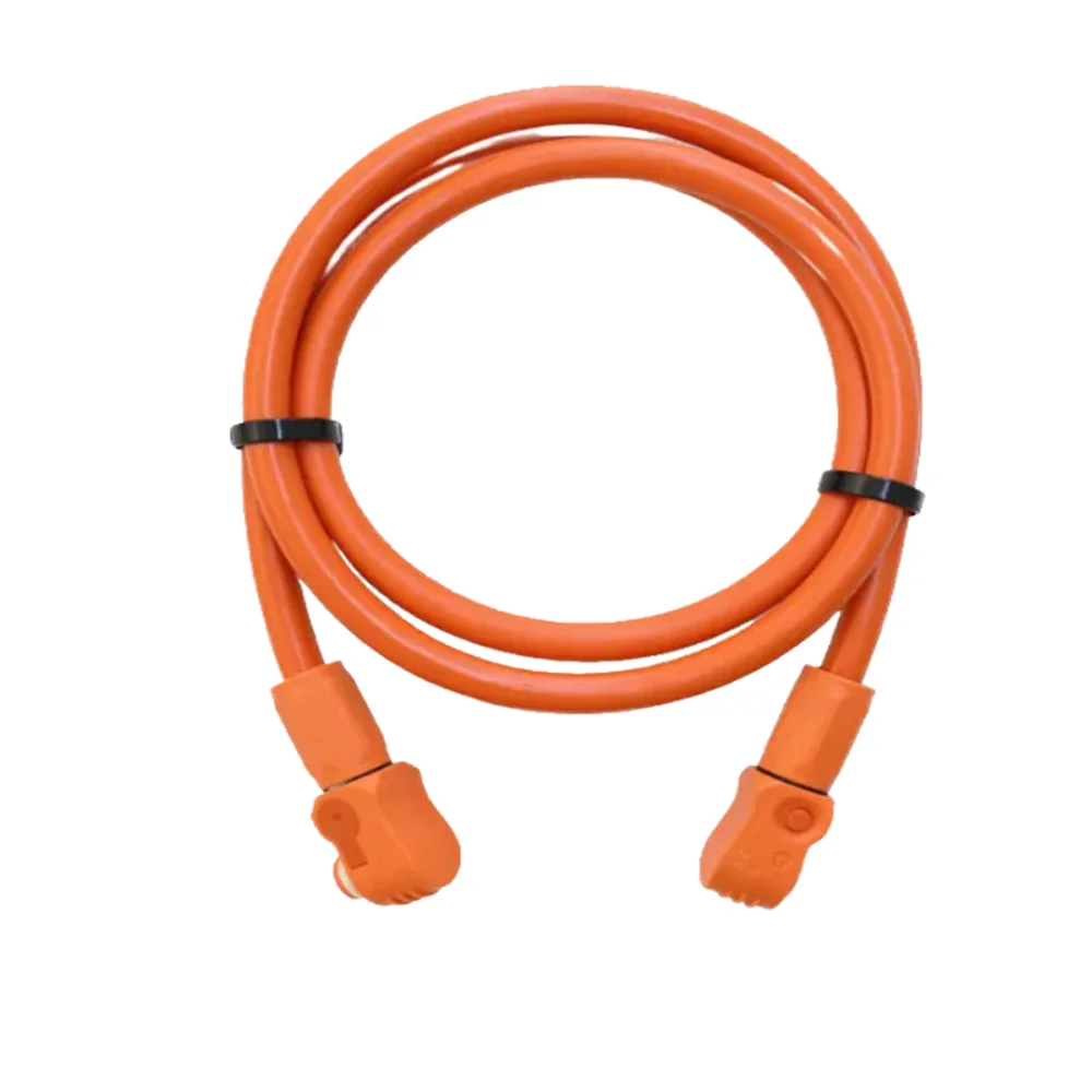 60A 100A 120A 200A 300A Stranded Insulated Cable PE Insulation Energy Storage Battery for EV with Storage Cabinet