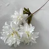 Orchidée violette blanche à 3 têtes