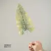 Green Lace Leaf