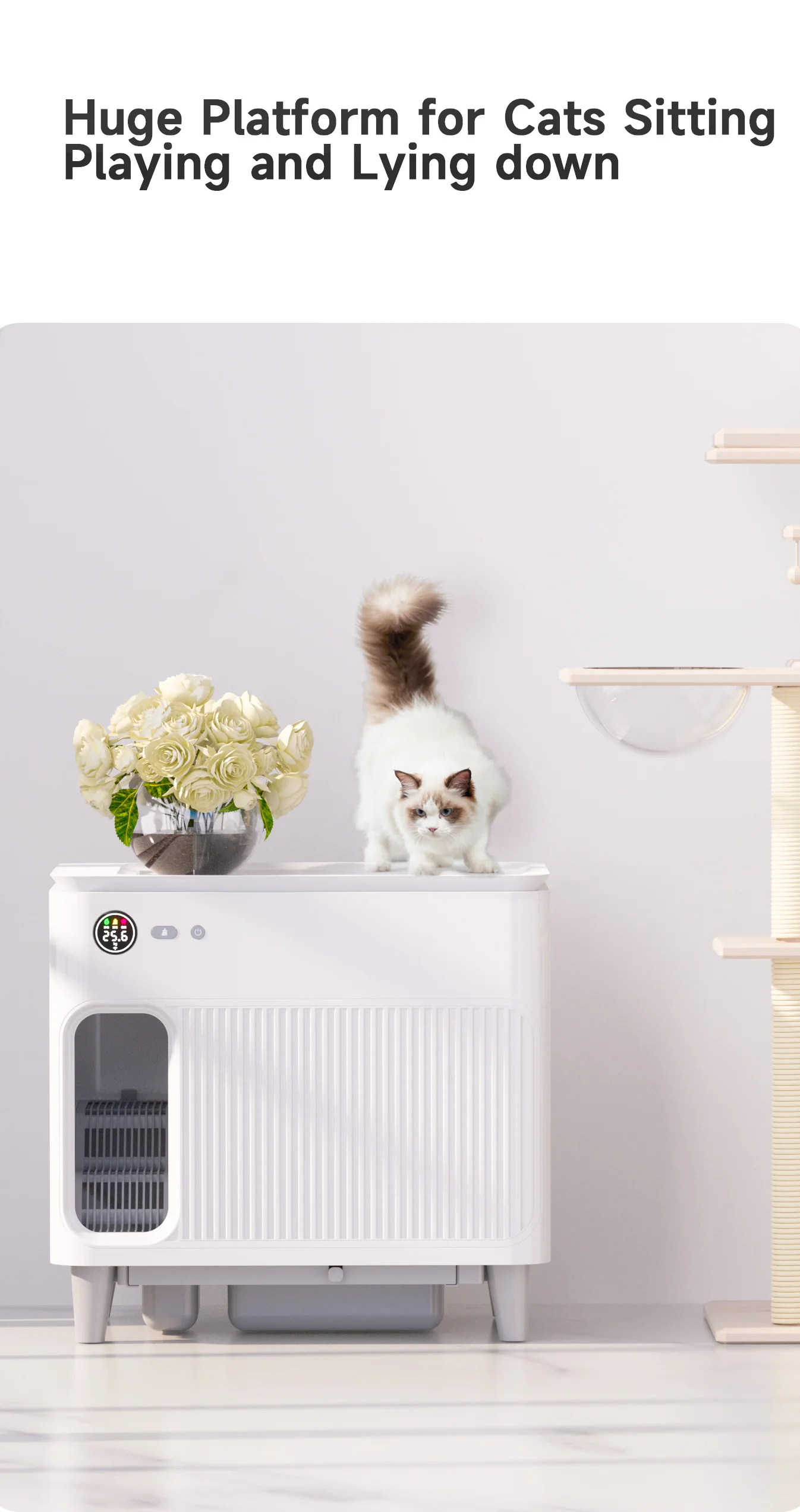 Luxury Large App Control Intelligent Smart Self Cleaning Portable Cat