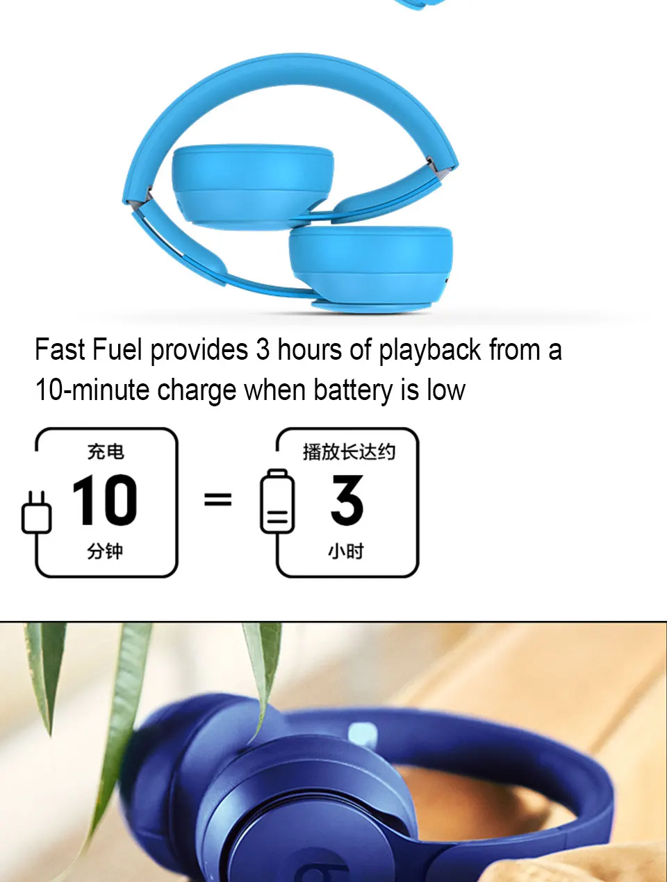 _10.jpg