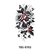 Tbs-8703 - 120*190mm