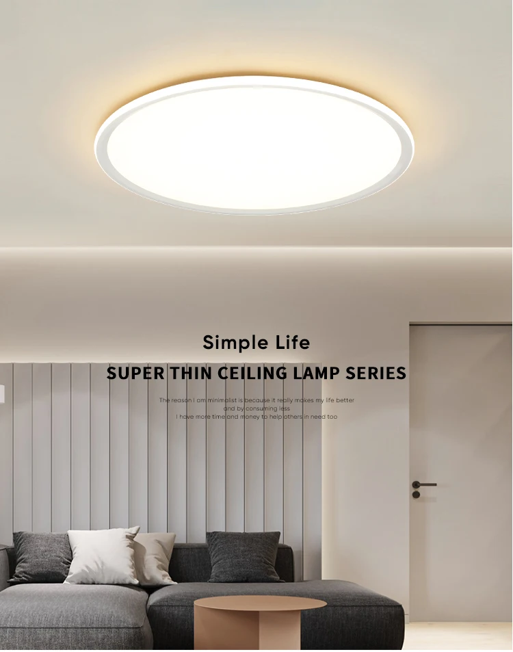 100 watt flush ceiling light