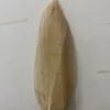ตาข่ายสีกากี (ไม่ได้บรรจุหีบห่อ)