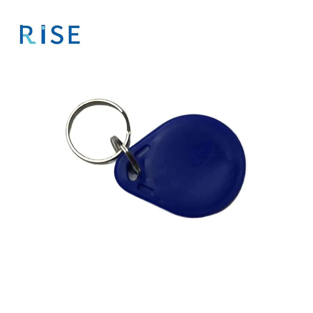Alibaba.com: RISE IC Card Control System with Blue Key Chain, RFID ...