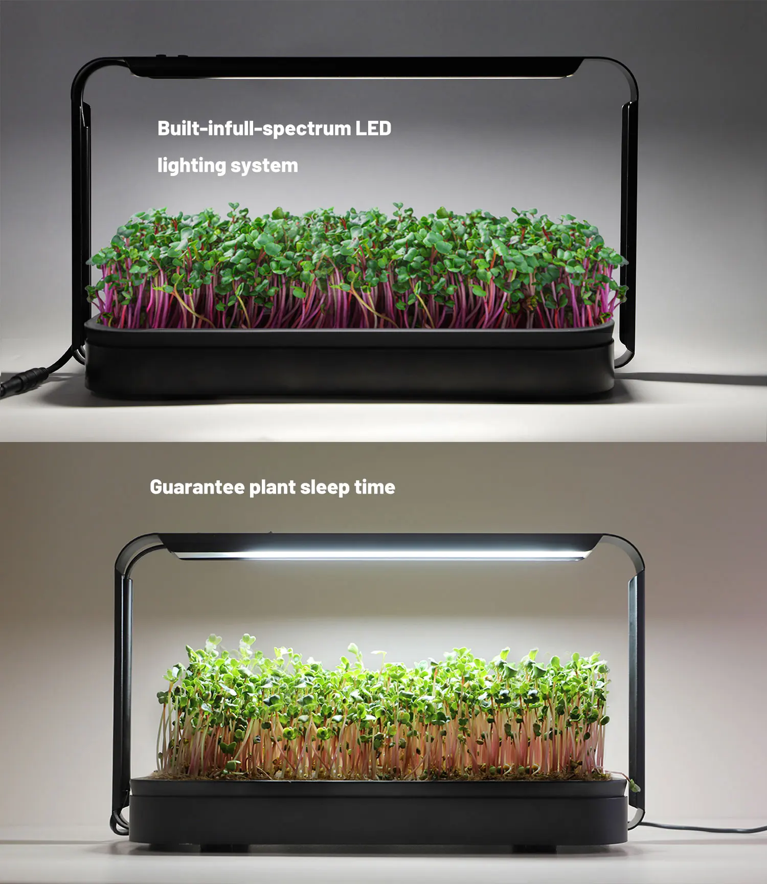 thumbnail image 2 of Smart Germination Kit COMBO - Includes Filters & Tweezers - For Seeds & Plants 2 of 3