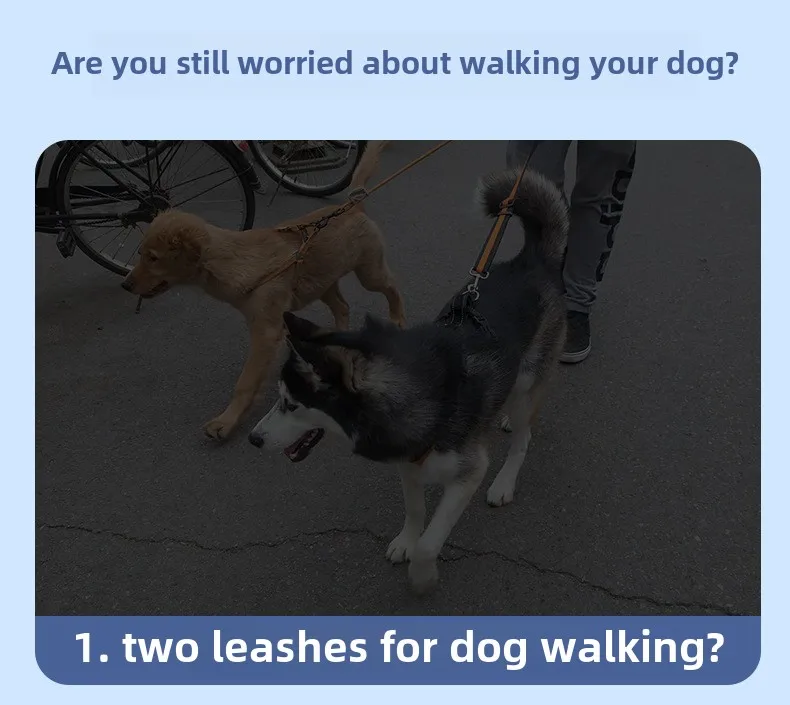 Double-Headed Reflective Eco-friendly Nylon Dog Walking Leash Solid One-to-Two Strap with Ribbon Decoration for Large Breed Dogs