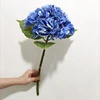 blu 2