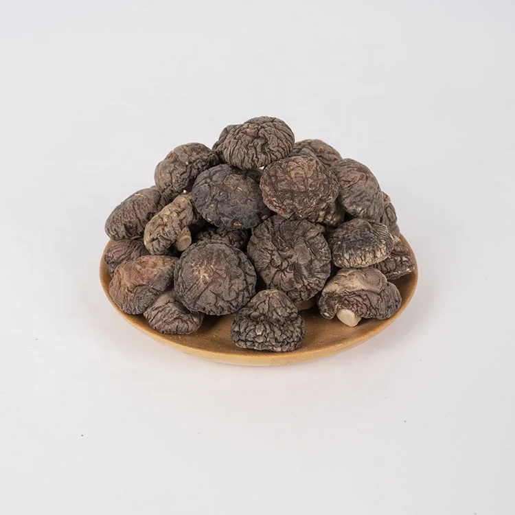 Здоровый редкий съедобный необработанный коричневый 0,25 кг 2-3 см сушеный гриб