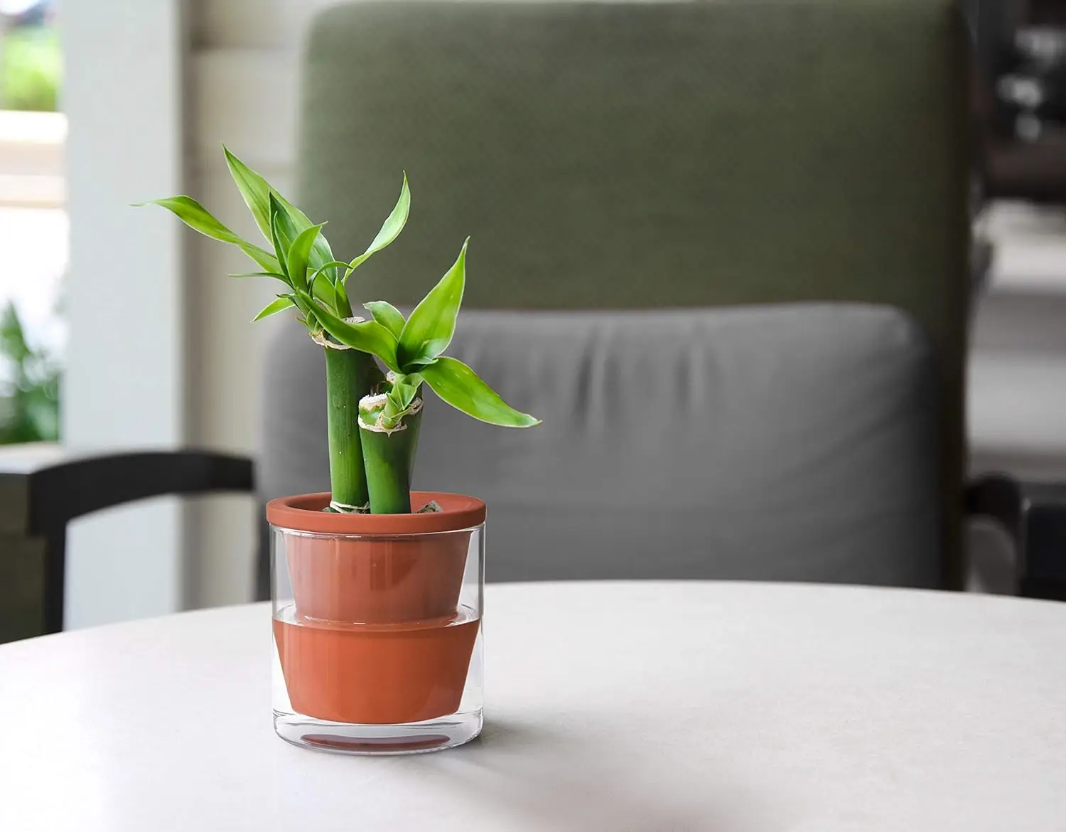 D'vine Dev Fioriera Autoirrigante In Terracotta Bianca E Vetro - 25,4 Cm Per Piante Da Interno