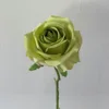 [8]Anji rose vert herbe
