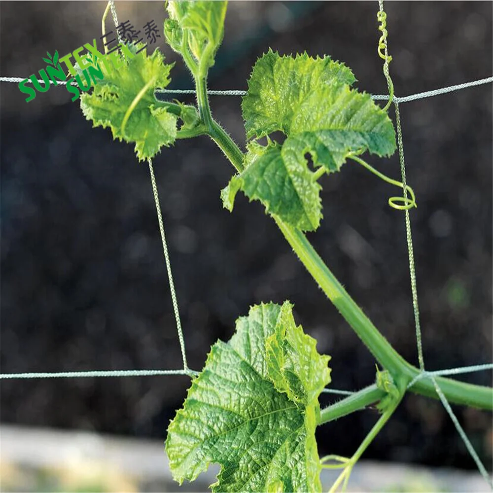 Rete a traliccio rete di supporto per piante per piante rampicanti fiori di vite, rete di supporto da giardino in rete di Nylon bianco da 6 pollici