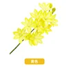 10 orquídeas Cymbidium, amarillas