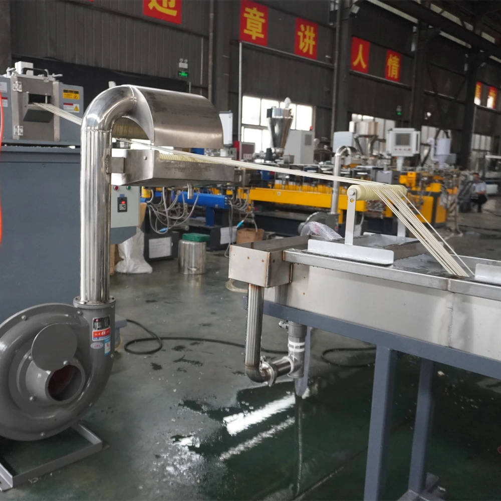 Parallel Twin Screw Extruder Water Strand PET Recycle Granulating Machine PET Bottle Flakes Granulator