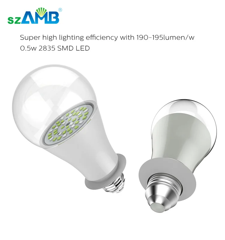 crown bulb-4