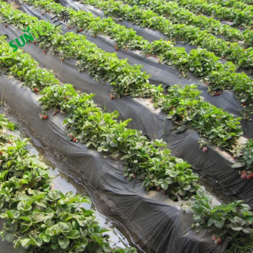 Longueur 50m / Toile De Paillage Anti Mauvaises Herbes / Largeur 2,07m