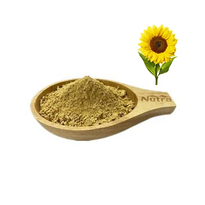 Girasoles Lecitina En Polvo,Aditivos De Alimentos De Alta Calidad,Polvo  Orgánico A Granel,Líquido - Buy Lecitina De Girasol En Polvo A  Granel,Orgánica Lecitina De Girasol En Polvo,Lecitina De Girasol En Polvo  Product on