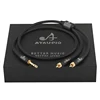 black 6.5 to 2rca cable