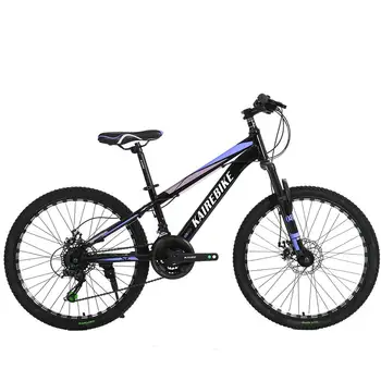 24” folding bicycle Hf2079a509eb14ddc81e39a1fc6bd0