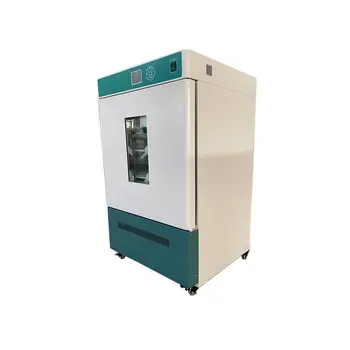 Digital Bacteria Biological Thermostatic lab Incubator WPL-45B Laboratory Incubator Microbiology