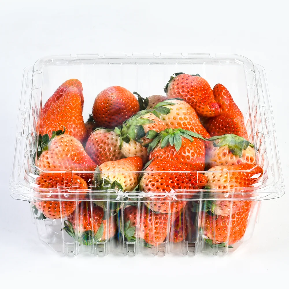 Factory 2LB Blueberry Packaging Recycled Plastic Fruit Packaging clear Box Fruit Berry Blueberry Clamshell Container with Holes
