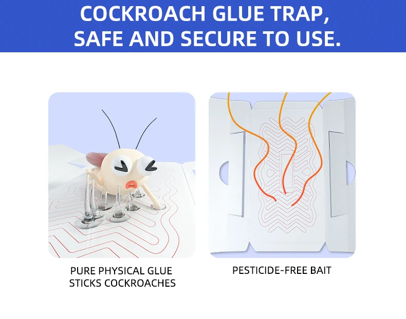 Cockroach house traps3.jpg