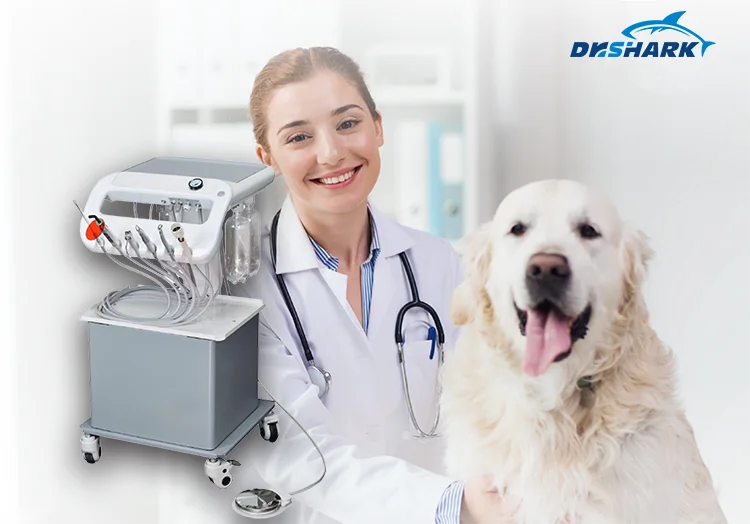 Veterinary Dental Equipment Portable Mobile Dental Unit For Pet Clinic