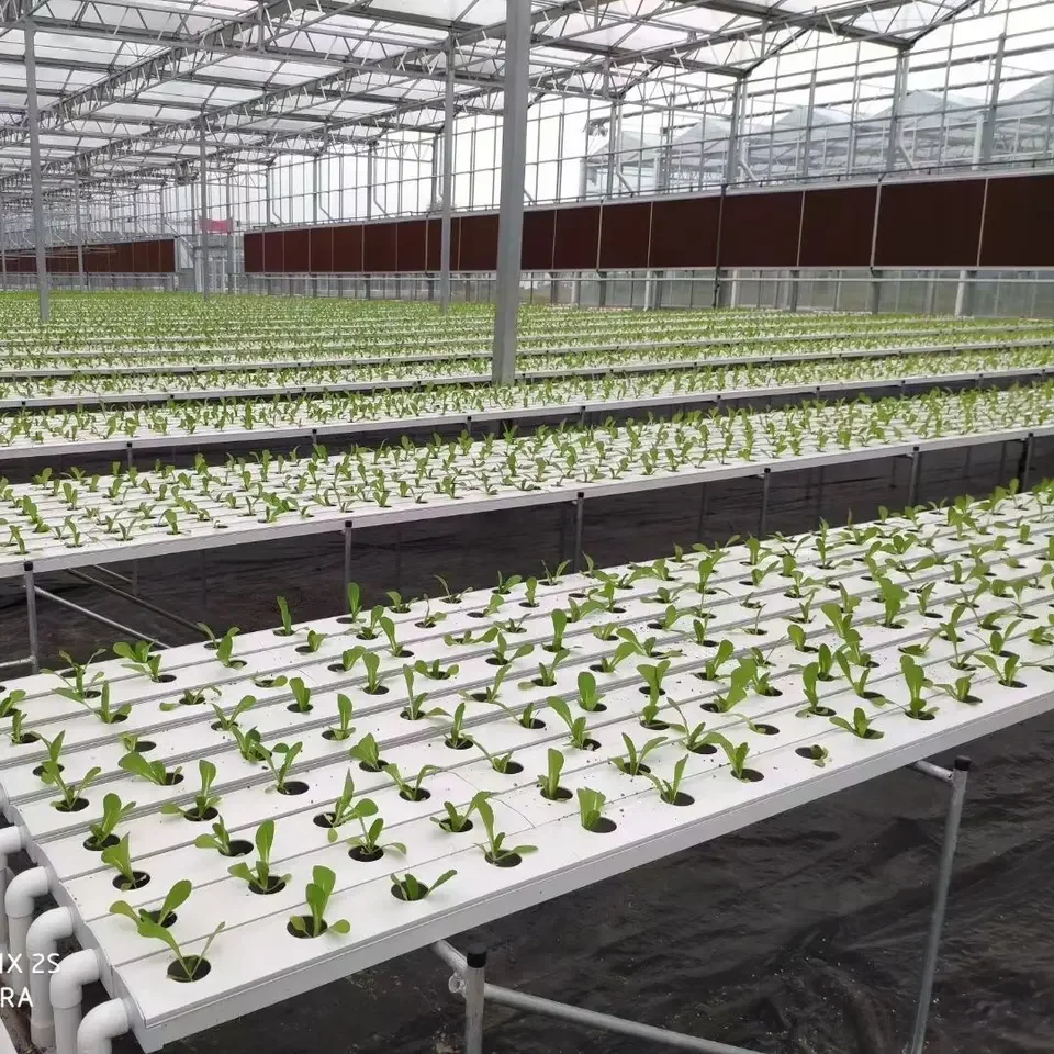 Food PVC Gutter Gully NFT Channel for Hydroponic Agriculture
