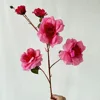 5 long snow rose red